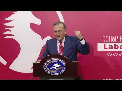 რეჟიმის მეთაური ივანიშვილი სანქციების კანდიდატია,  შემოდგომაზე დავაყენოთ გაზაფხული - ნათელაშვილი